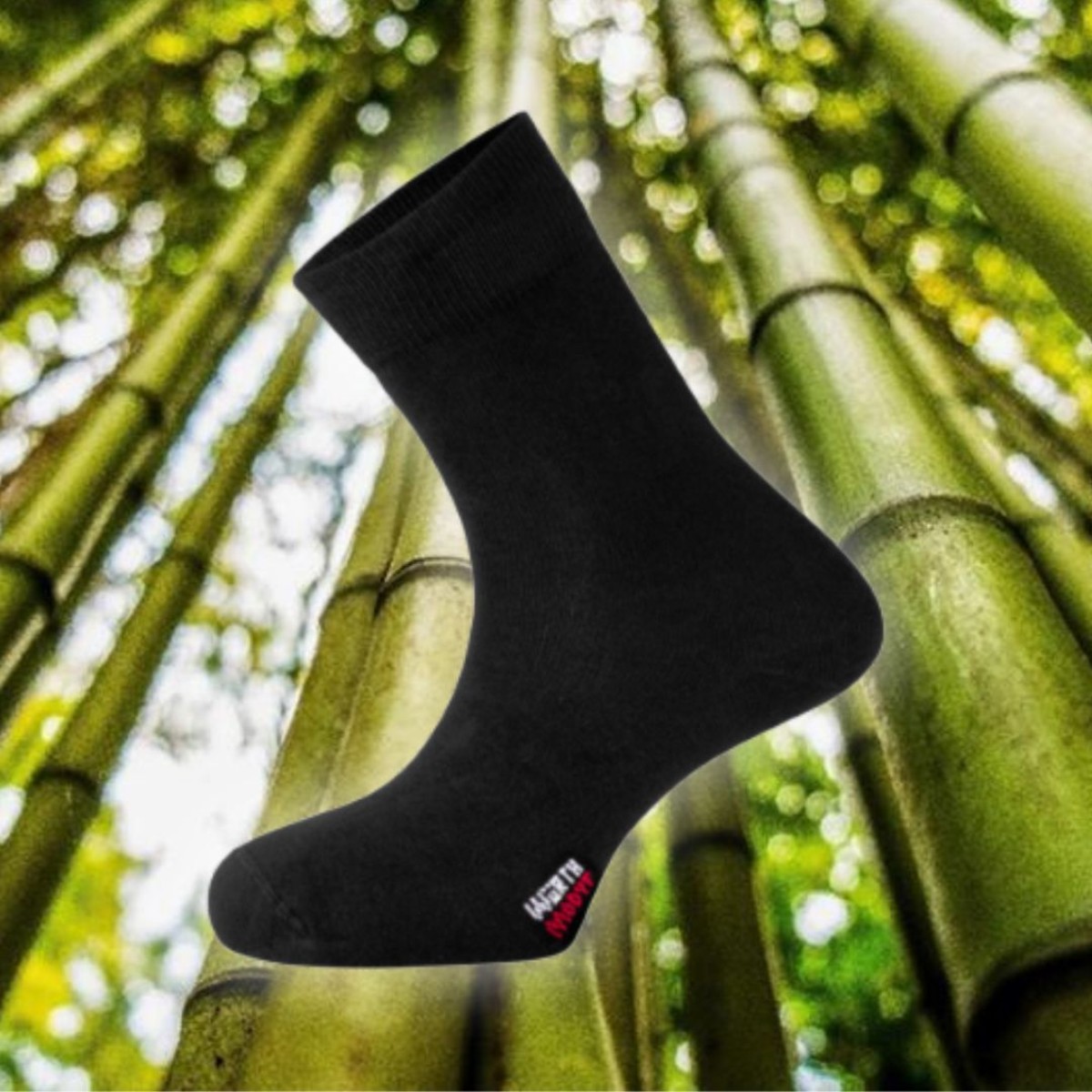 bamboo