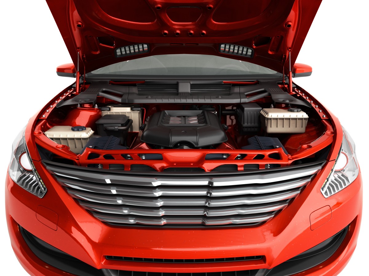 bonnet bonnet
