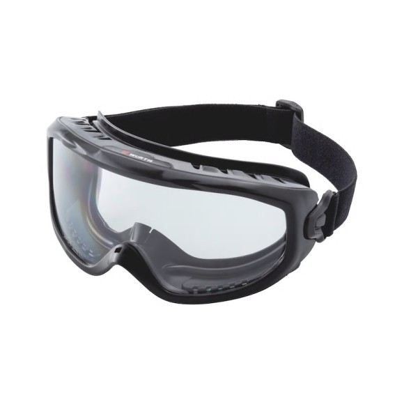 castor goggles